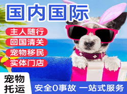 东郊机场物流国际宠物托运 【国